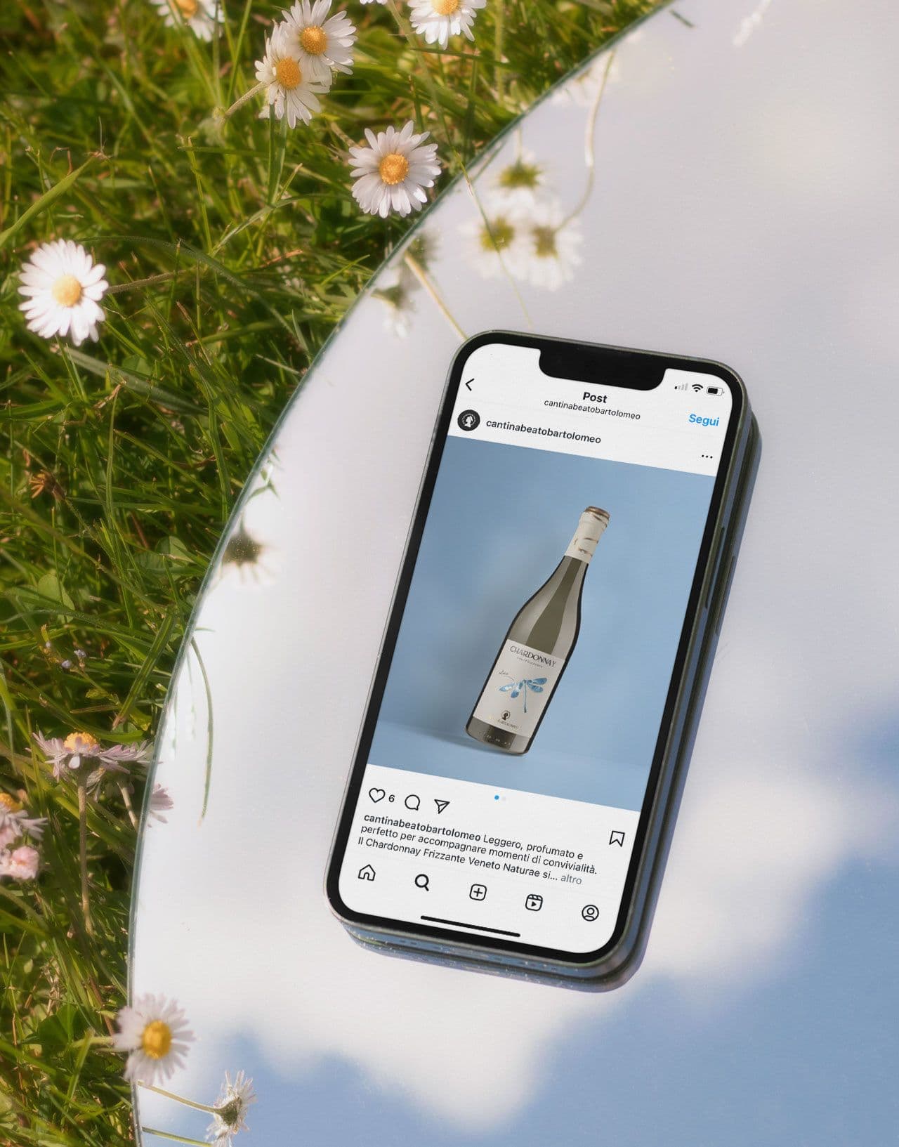 Cantina Beato Bartolomeo