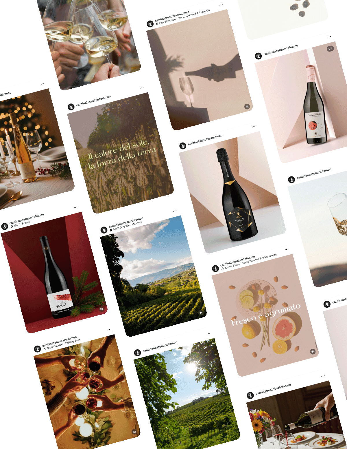 Cantina Beato Bartolomeo